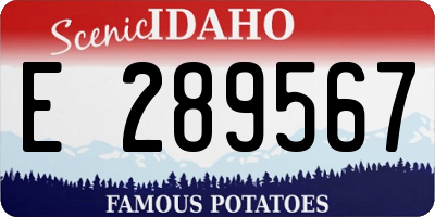 ID license plate E289567