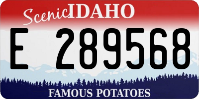 ID license plate E289568