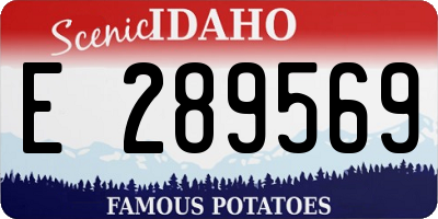 ID license plate E289569