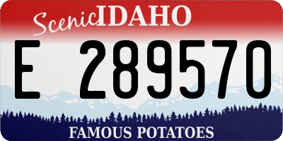 ID license plate E289570