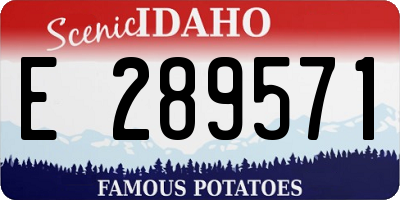 ID license plate E289571