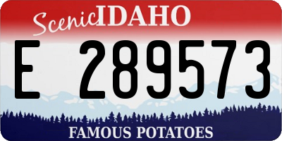 ID license plate E289573