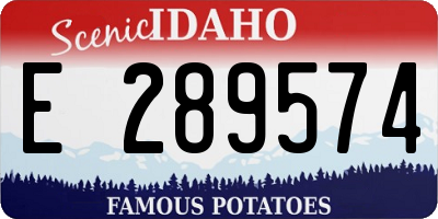 ID license plate E289574