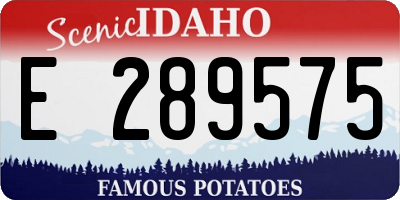 ID license plate E289575