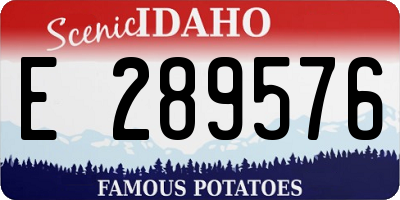 ID license plate E289576
