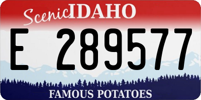ID license plate E289577