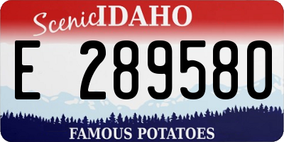 ID license plate E289580