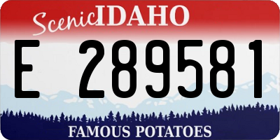 ID license plate E289581