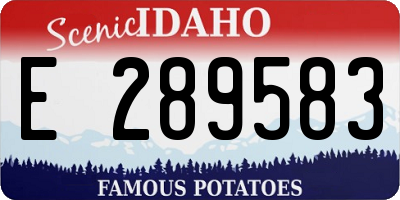 ID license plate E289583