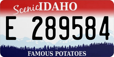 ID license plate E289584