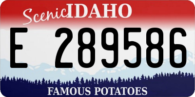 ID license plate E289586
