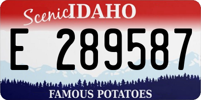 ID license plate E289587