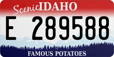 ID license plate E289588