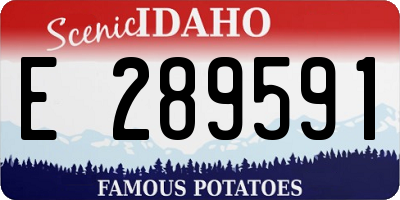 ID license plate E289591