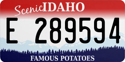 ID license plate E289594