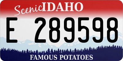 ID license plate E289598