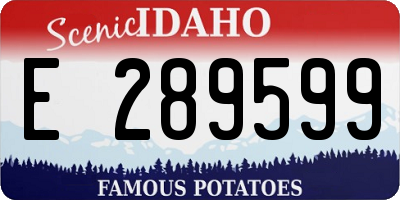 ID license plate E289599