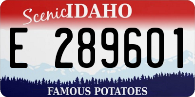 ID license plate E289601