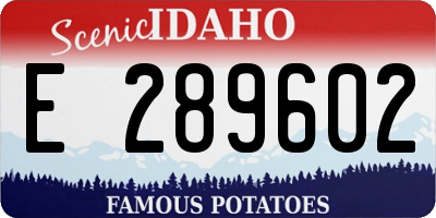 ID license plate E289602