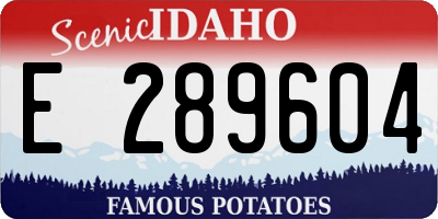 ID license plate E289604