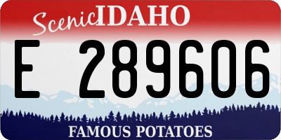 ID license plate E289606