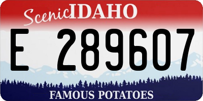 ID license plate E289607