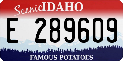 ID license plate E289609