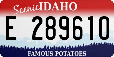 ID license plate E289610