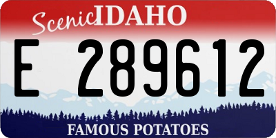 ID license plate E289612