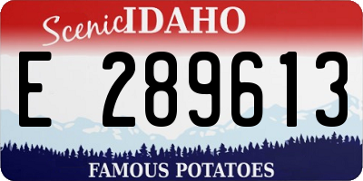 ID license plate E289613