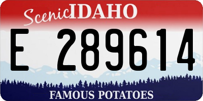 ID license plate E289614