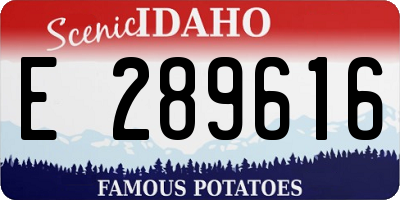 ID license plate E289616