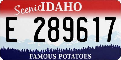 ID license plate E289617
