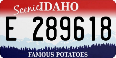 ID license plate E289618