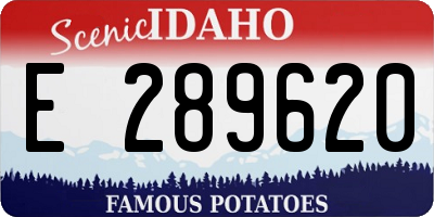 ID license plate E289620