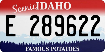 ID license plate E289622