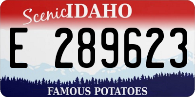 ID license plate E289623
