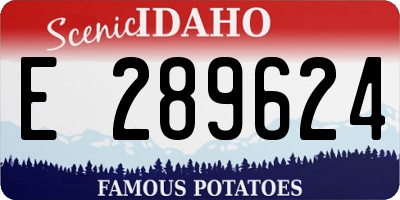 ID license plate E289624