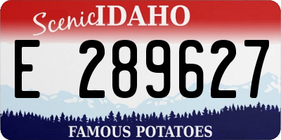 ID license plate E289627