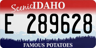 ID license plate E289628