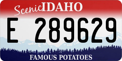 ID license plate E289629