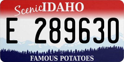 ID license plate E289630