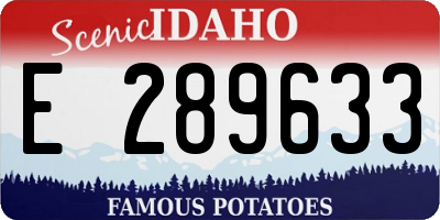 ID license plate E289633