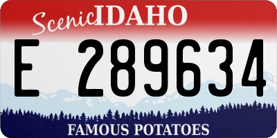 ID license plate E289634