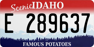 ID license plate E289637