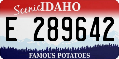 ID license plate E289642