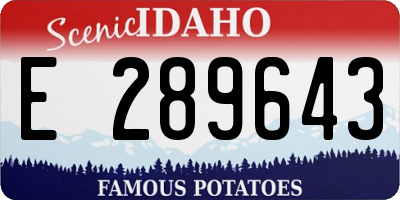 ID license plate E289643
