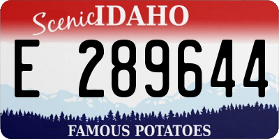 ID license plate E289644