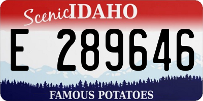 ID license plate E289646