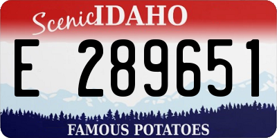 ID license plate E289651